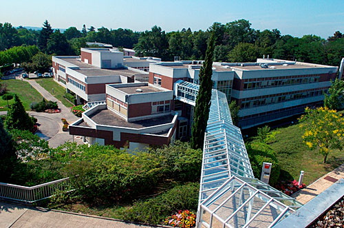 里昂高等商学院_里昂高等商学院排名_里昂高等商学院专业_里昂高等商学院奖学金