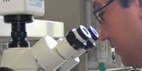 马赛综合理工学校_马赛综合理工学校排名_马赛综合理工学校专业_马赛综合理工学校奖学金